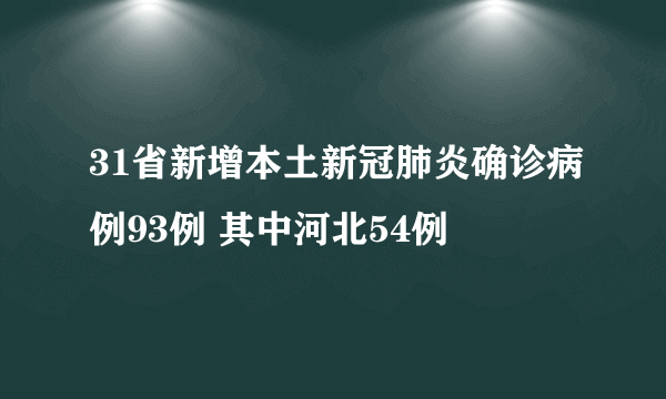 31省新增本土新冠肺炎确诊病例93例 其中河北54例