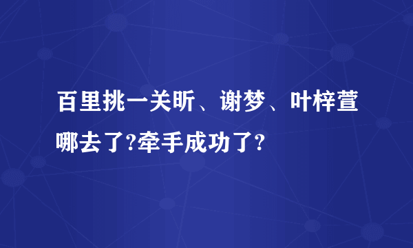 百里挑一关昕、谢梦、叶梓萱哪去了?牵手成功了?