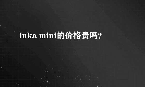 luka mini的价格贵吗？