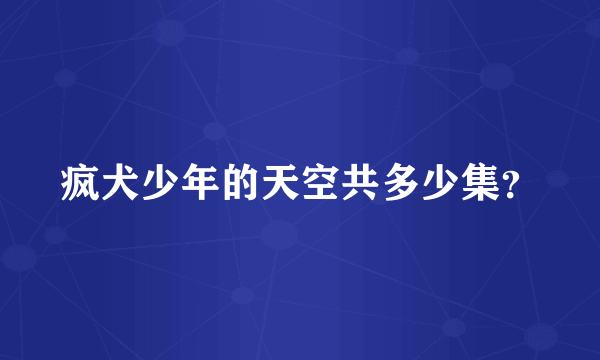 疯犬少年的天空共多少集？