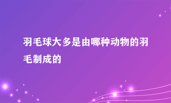 羽毛球大多是由哪种动物的羽毛制成的