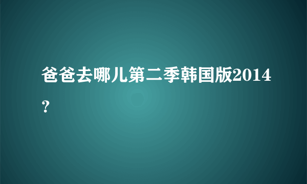 爸爸去哪儿第二季韩国版2014？