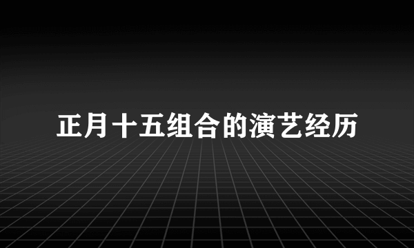 正月十五组合的演艺经历