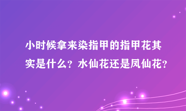 小时候拿来染指甲的指甲花其实是什么？水仙花还是凤仙花？