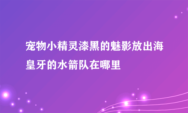 宠物小精灵漆黑的魅影放出海皇牙的水箭队在哪里