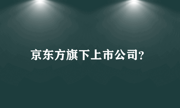 京东方旗下上市公司？