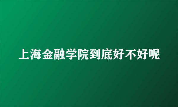 上海金融学院到底好不好呢