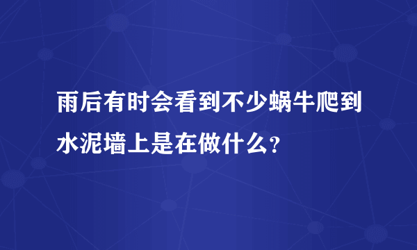 雨后有时会看到不少蜗牛爬到水泥墙上是在做什么？