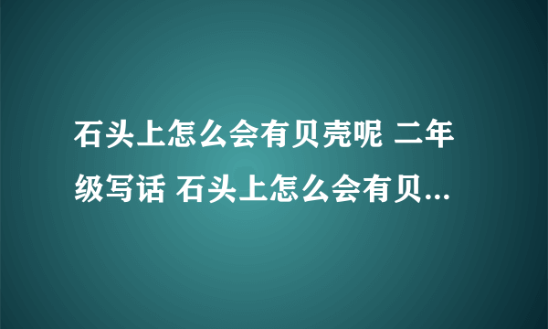 石头上怎么会有贝壳呢 二年级写话 石头上怎么会有贝壳呢二年级下册写话