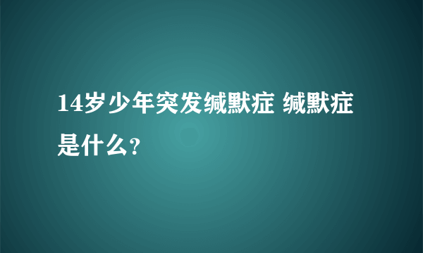 14岁少年突发缄默症 缄默症是什么？