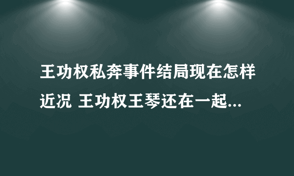 王功权私奔事件结局现在怎样近况 王功权王琴还在一起么结婚了吗