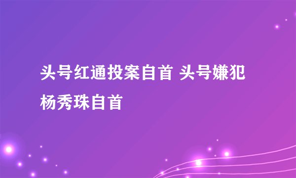 头号红通投案自首 头号嫌犯杨秀珠自首