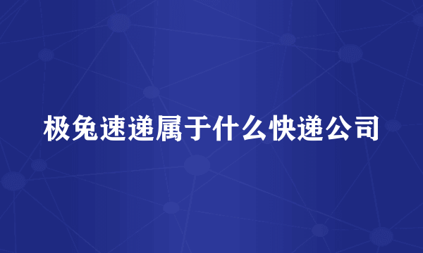 极兔速递属于什么快递公司