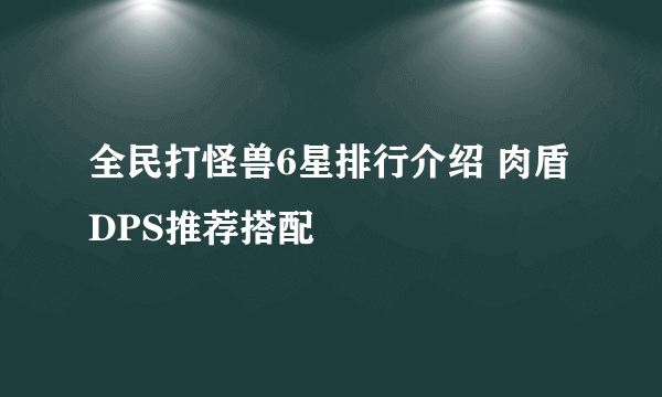 全民打怪兽6星排行介绍 肉盾DPS推荐搭配