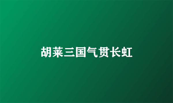 胡莱三国气贯长虹