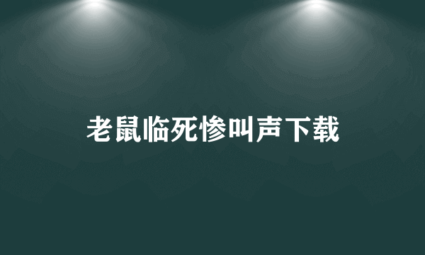 老鼠临死惨叫声下载