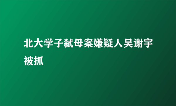 北大学子弑母案嫌疑人吴谢宇被抓