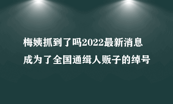 梅姨抓到了吗2022最新消息 成为了全国通缉人贩子的绰号