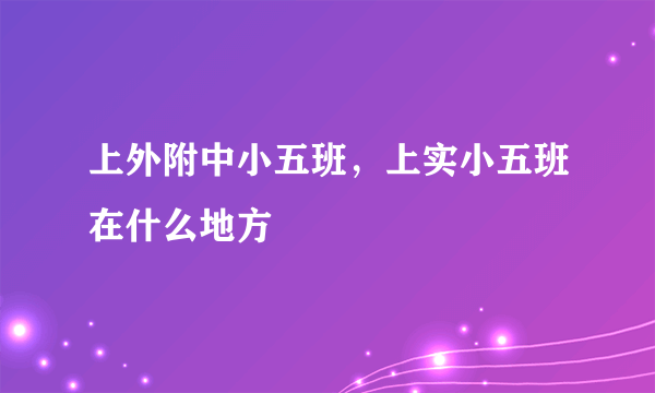 上外附中小五班，上实小五班在什么地方