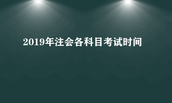 2019年注会各科目考试时间