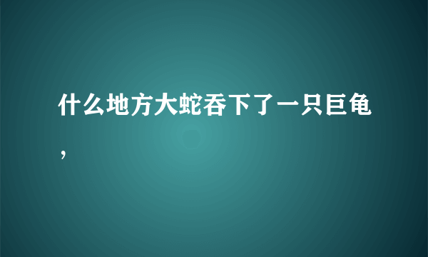 什么地方大蛇吞下了一只巨龟，