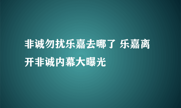 非诚勿扰乐嘉去哪了 乐嘉离开非诚内幕大曝光