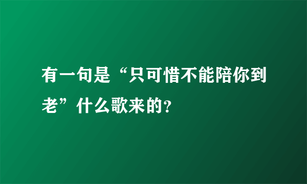 有一句是“只可惜不能陪你到老”什么歌来的？