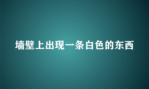 墙壁上出现一条白色的东西