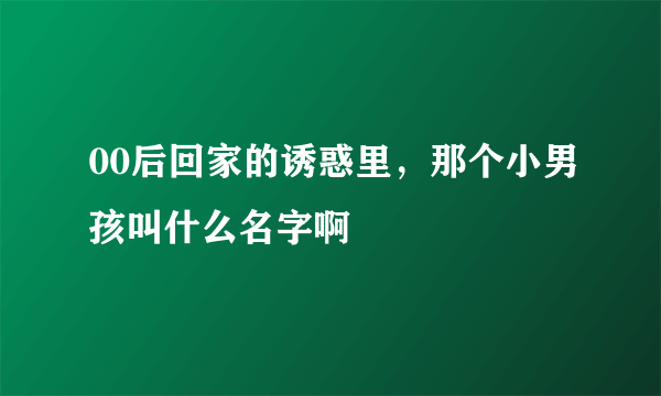 00后回家的诱惑里，那个小男孩叫什么名字啊