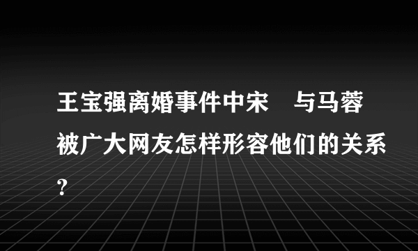 王宝强离婚事件中宋喆与马蓉被广大网友怎样形容他们的关系？