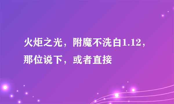 火炬之光，附魔不洗白1.12，那位说下，或者直接