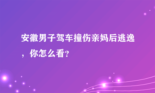 安徽男子驾车撞伤亲妈后逃逸，你怎么看？