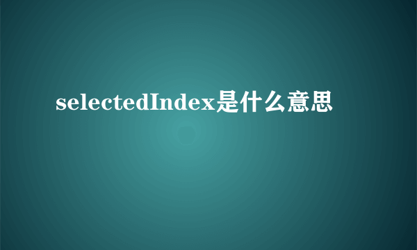 selectedIndex是什么意思