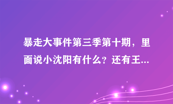 暴走大事件第三季第十期，里面说小沈阳有什么？还有王尼玛说“是他自己报的警”时下面的小字（实际上是金