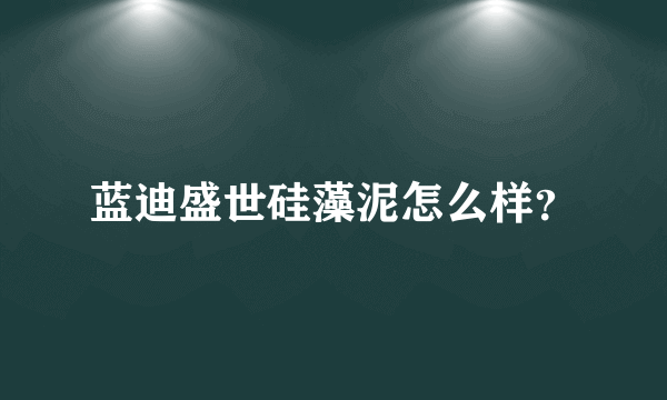 蓝迪盛世硅藻泥怎么样？