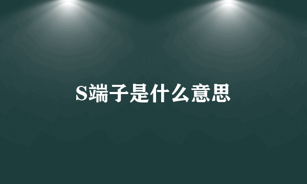 S端子是什么意思