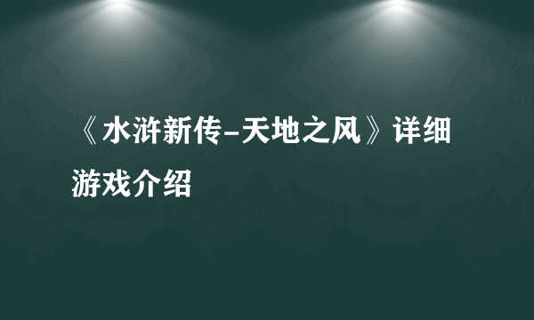 《水浒新传-天地之风》详细游戏介绍