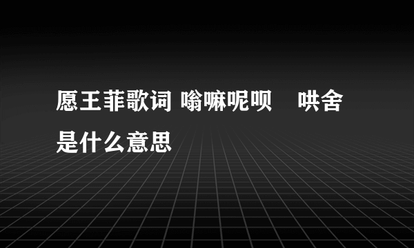 愿王菲歌词 嗡嘛呢呗嚒哄舍 是什么意思