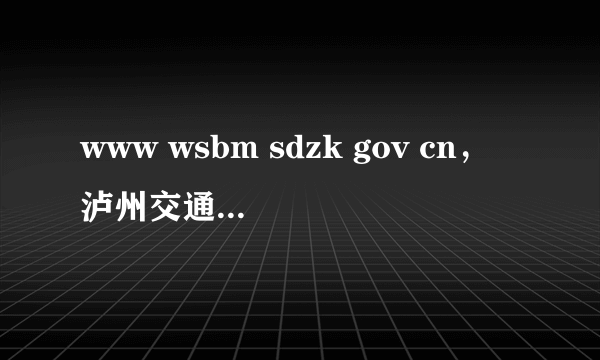 www wsbm sdzk gov cn，泸州交通违章查询网