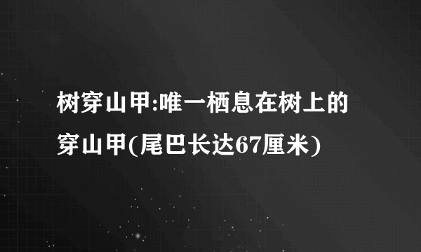 树穿山甲:唯一栖息在树上的穿山甲(尾巴长达67厘米)