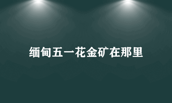 缅甸五一花金矿在那里