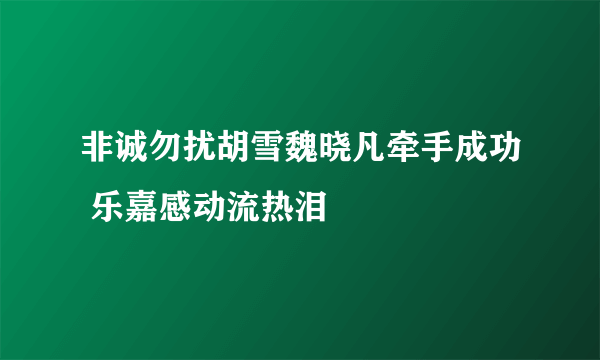 非诚勿扰胡雪魏晓凡牵手成功 乐嘉感动流热泪