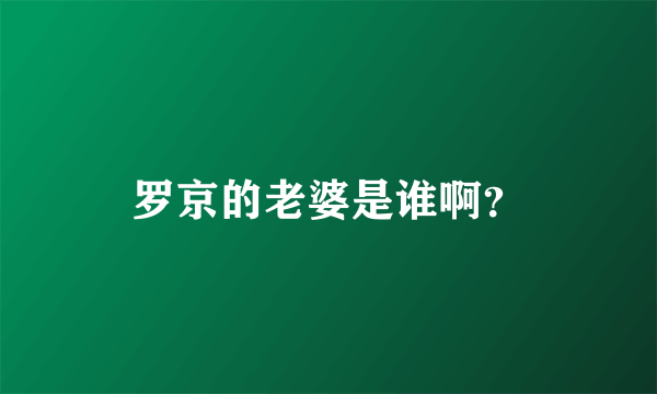 罗京的老婆是谁啊？