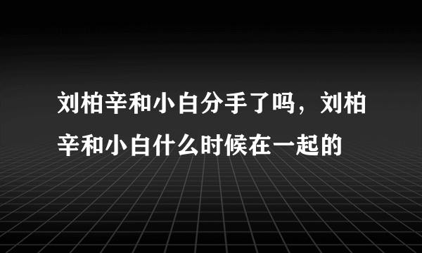 刘柏辛和小白分手了吗，刘柏辛和小白什么时候在一起的