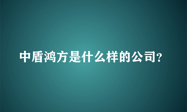 中盾鸿方是什么样的公司？