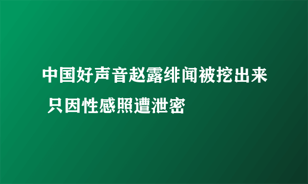 中国好声音赵露绯闻被挖出来 只因性感照遭泄密