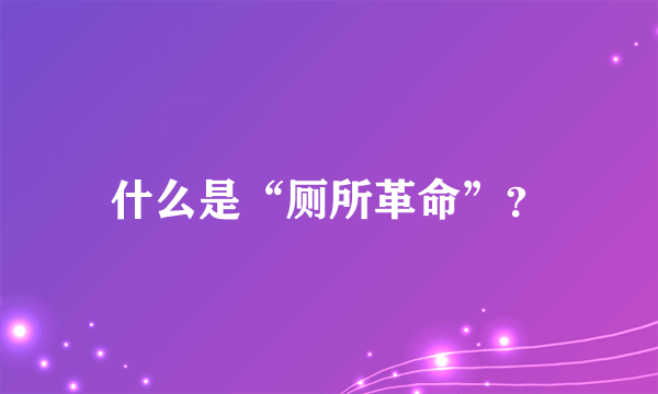 什么是“厕所革命”？