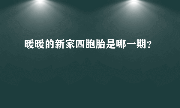 暖暖的新家四胞胎是哪一期？