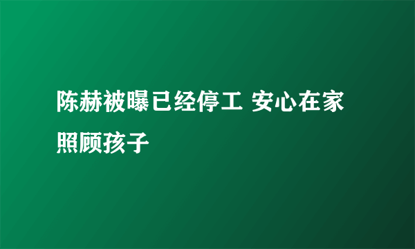 陈赫被曝已经停工 安心在家照顾孩子