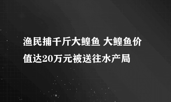 渔民捕千斤大鳇鱼 大鳇鱼价值达20万元被送往水产局